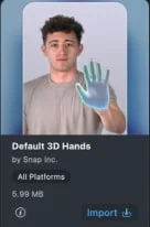 Default 3D Hands